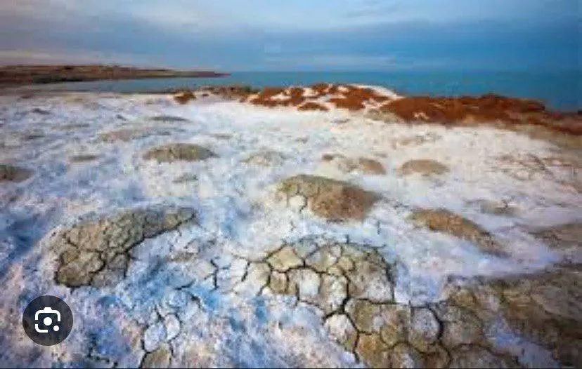 Aral “Kazakistan ve Aral Gölü’nün kurtuluş umudu”